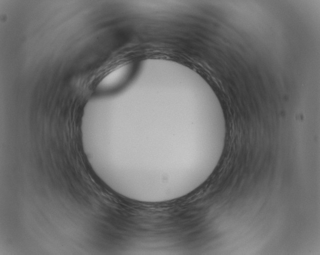 X0000088740763200705311051