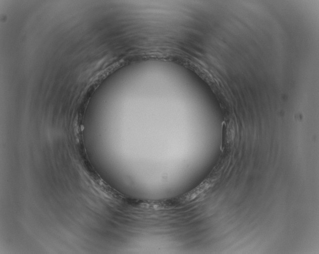 X0000088740764200705311051