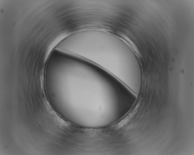 X0000088740812200705311050