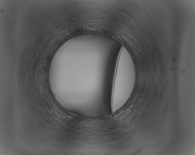 X0000088740817200705311049