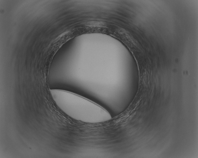 X0000088740821200705311049
