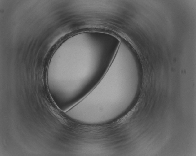 X0000088740830200705311049