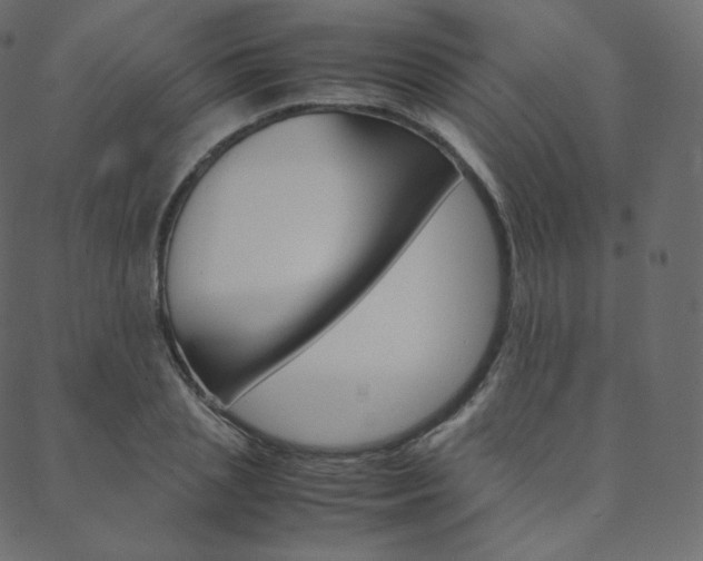 X0000088740837200705311049