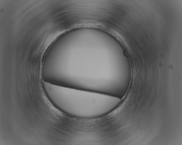 X0000088740844200705311049