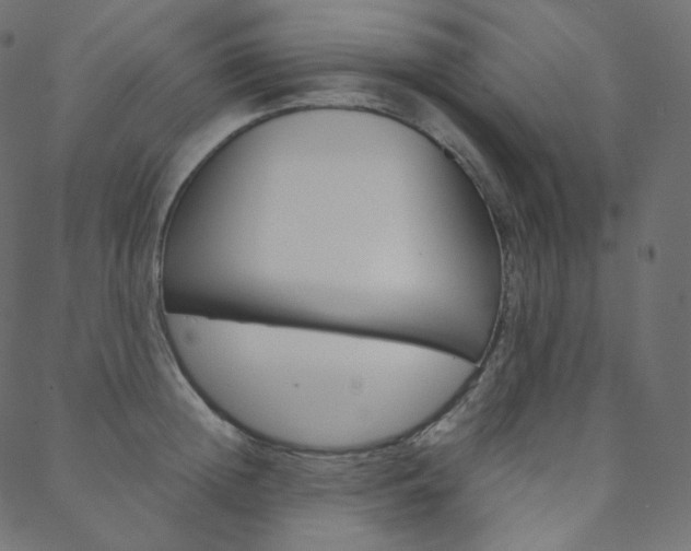X0000088740852200705311050