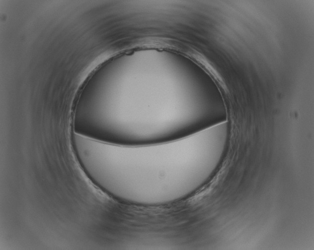 X0000088740853200705311050