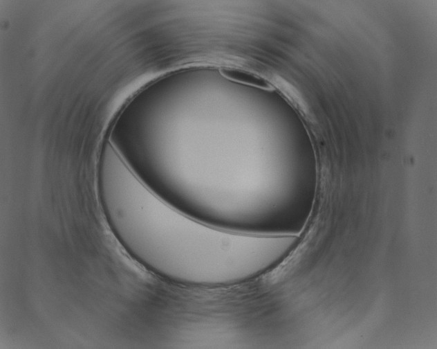 X0000088740854200705311050
