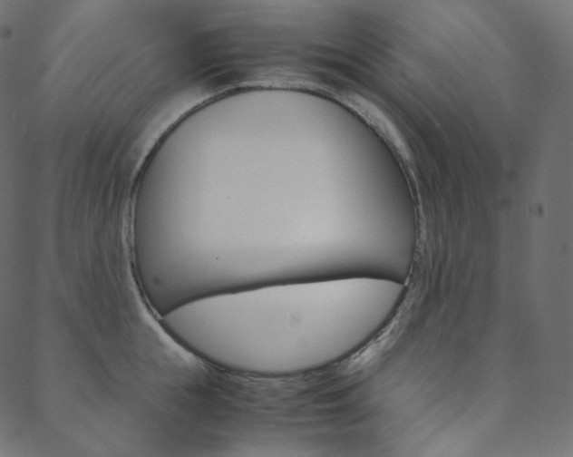 X0000088740855200705311050