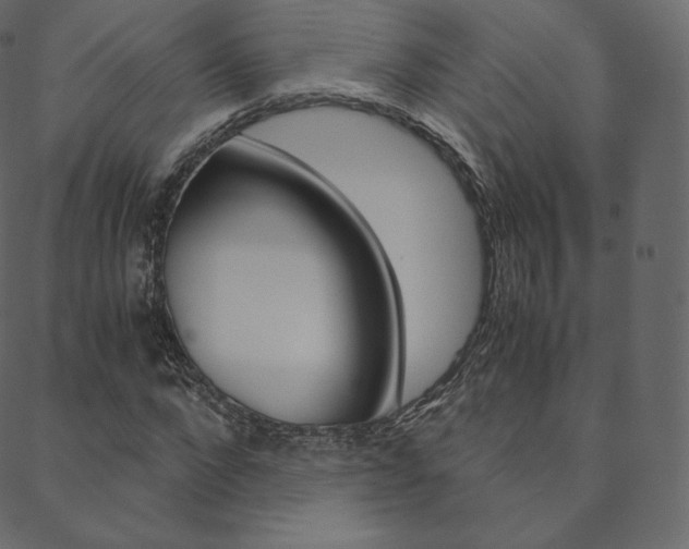 X0000088740872200705311049