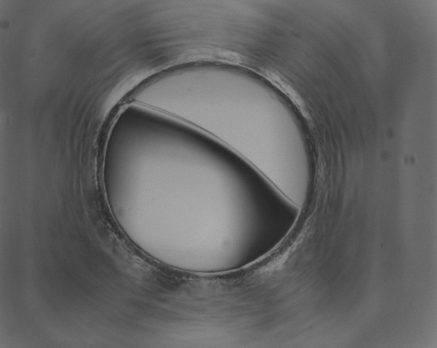 X0000088740877200705311049