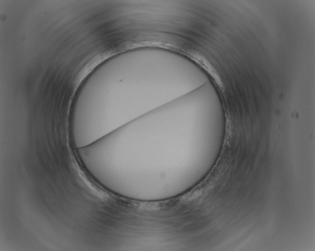 X0000088740890200705311049