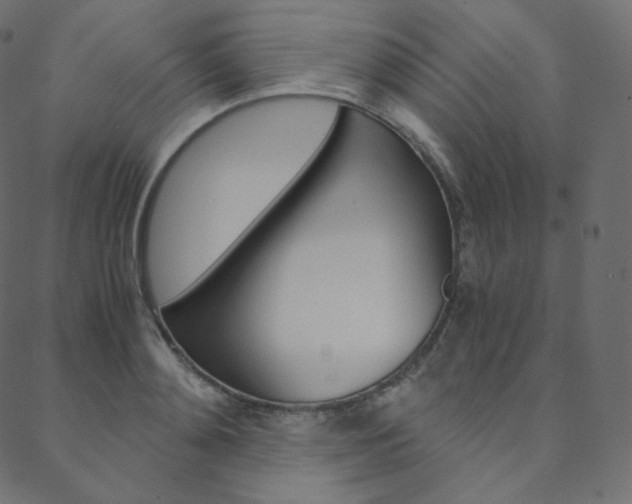 X0000088740892200705311048