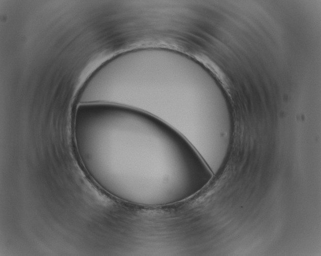 X0000088740894200705311048