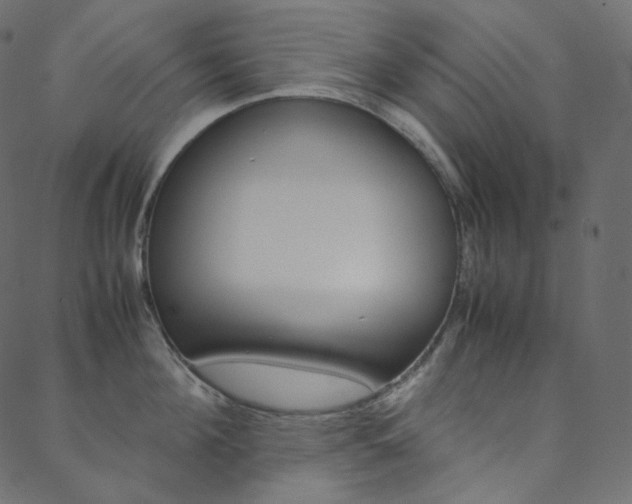 X0000088740908200705311048