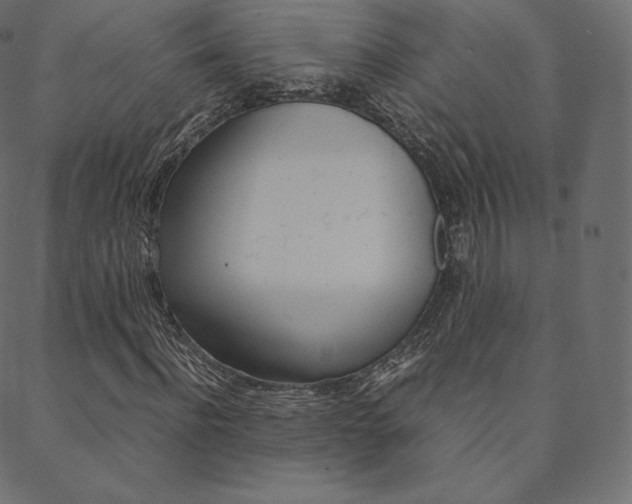 X0000088740916200705311047