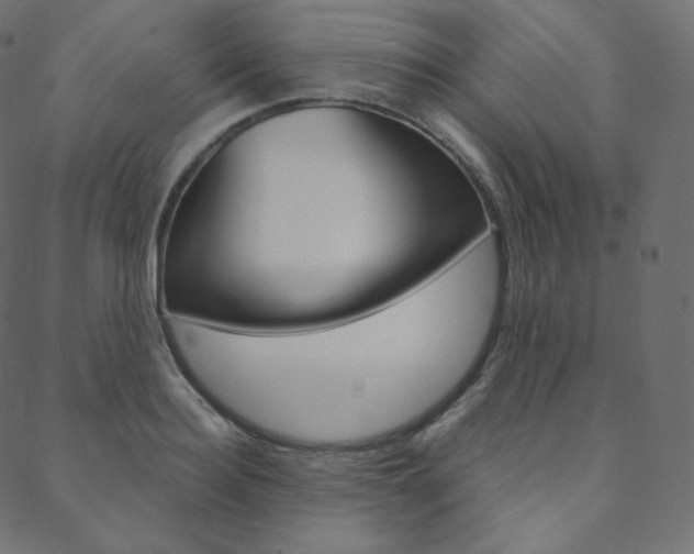 X0000088740940200705311048