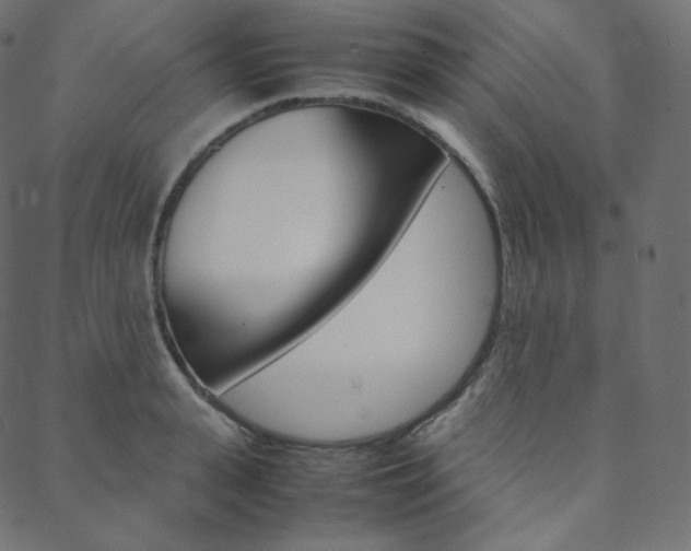 X0000088740943200705311048