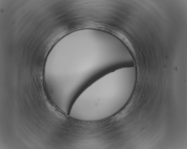 X0000088740954200705311048