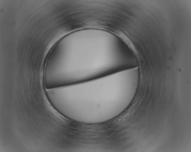 X0000088740955200705311048