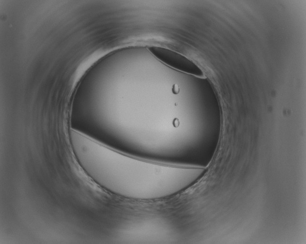 X0000088740960200705311048