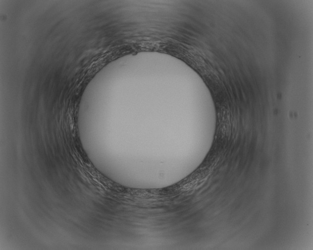 X0000088740962200705311047