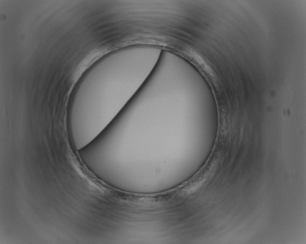 X0000088740986200705311047
