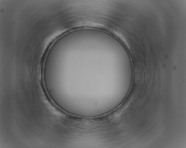 X0000088740987200705311047