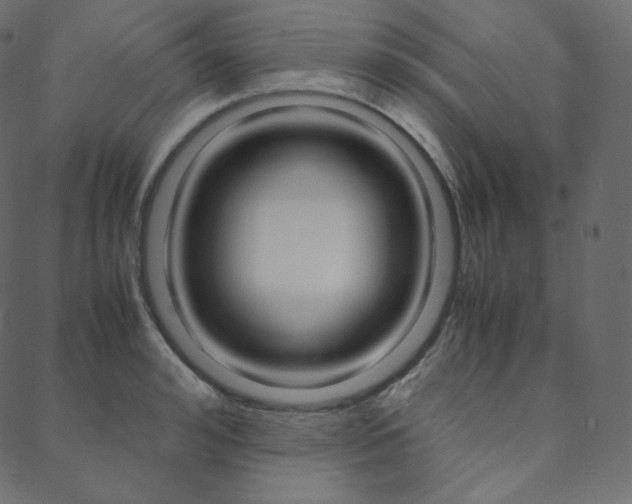 X0000088740992200705311047