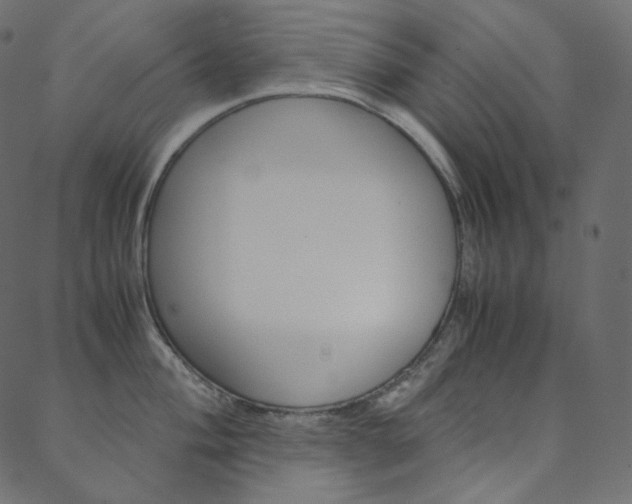 X0000088741004200705311047