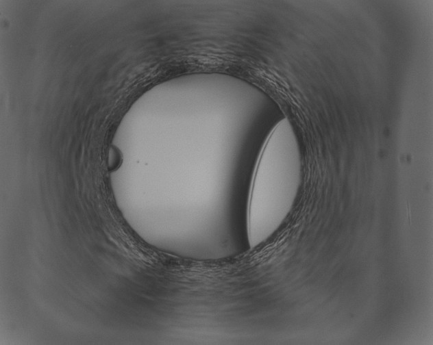 X0000088741009200705311046