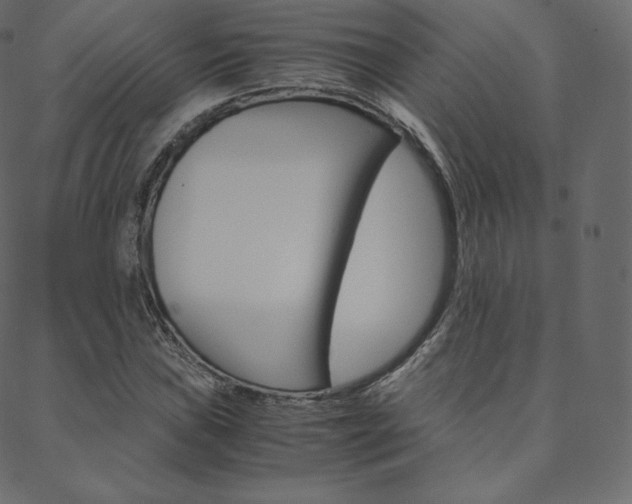 X0000088741019200705311046