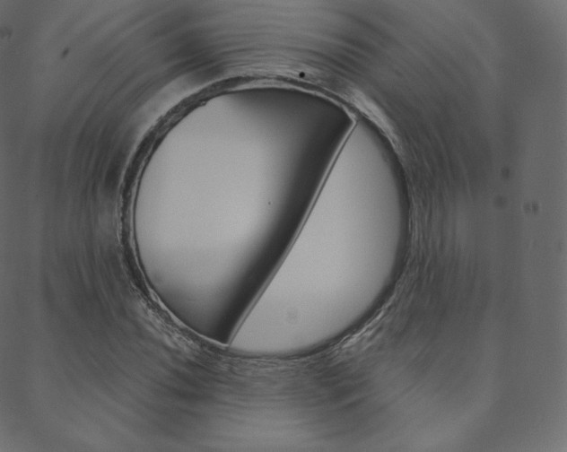 X0000088741020200705311046