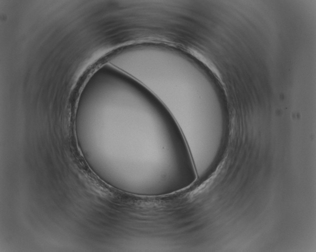 X0000088741021200705311046