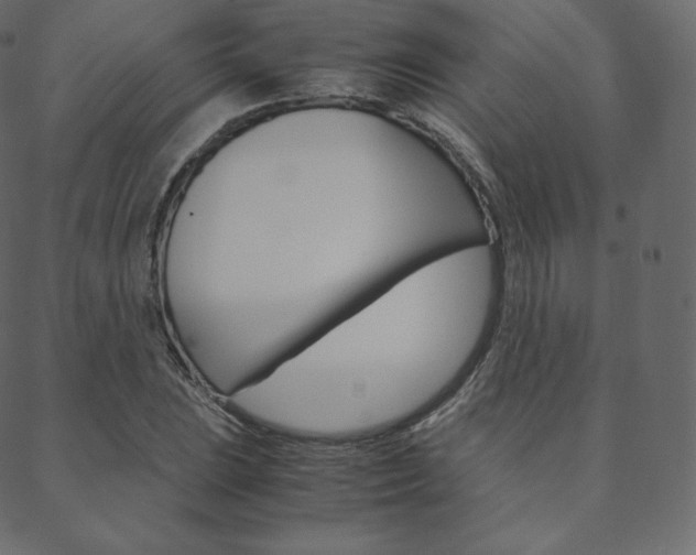 X0000088741023200705311046
