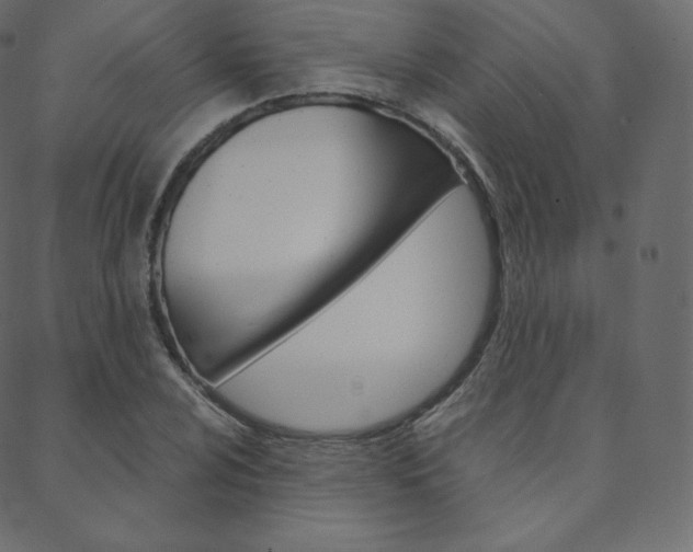 X0000088741024200705311046