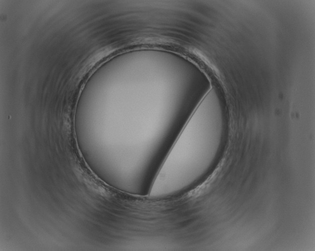 X0000088741025200705311046
