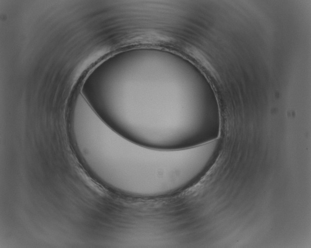 X0000088741026200705311046
