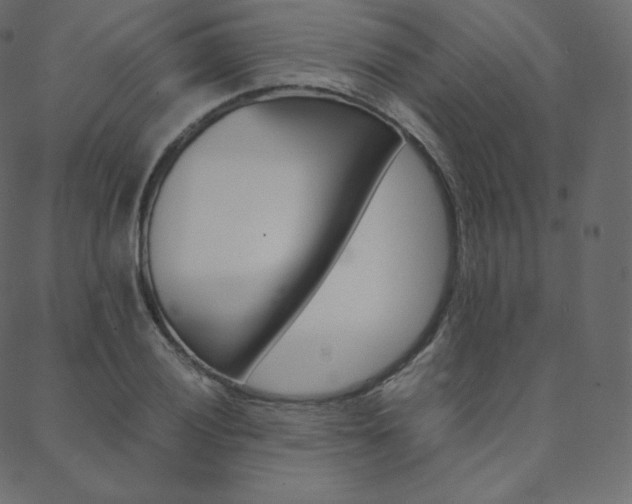 X0000088741028200705311046