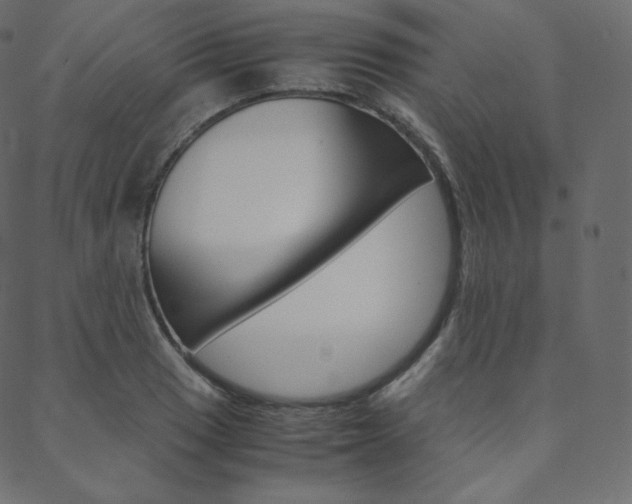 X0000088741033200705311046