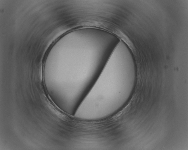 X0000088741036200705311046