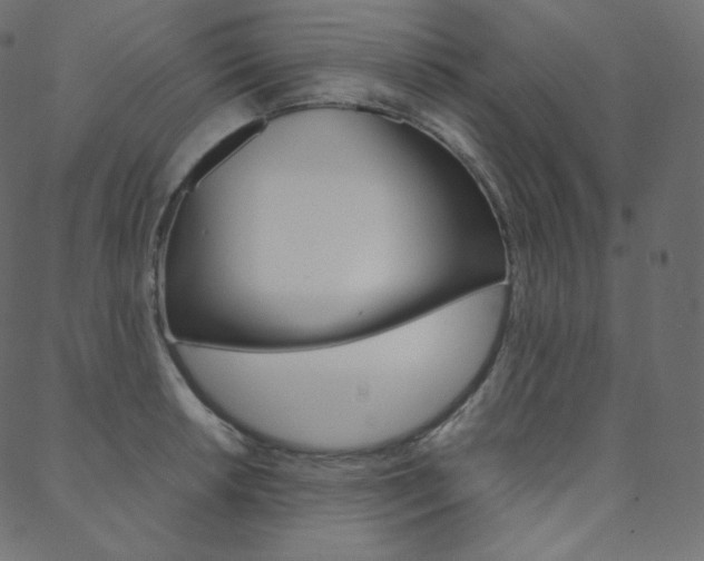 X0000088741042200705311046
