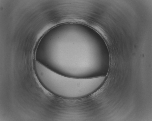 X0000088741046200705311046