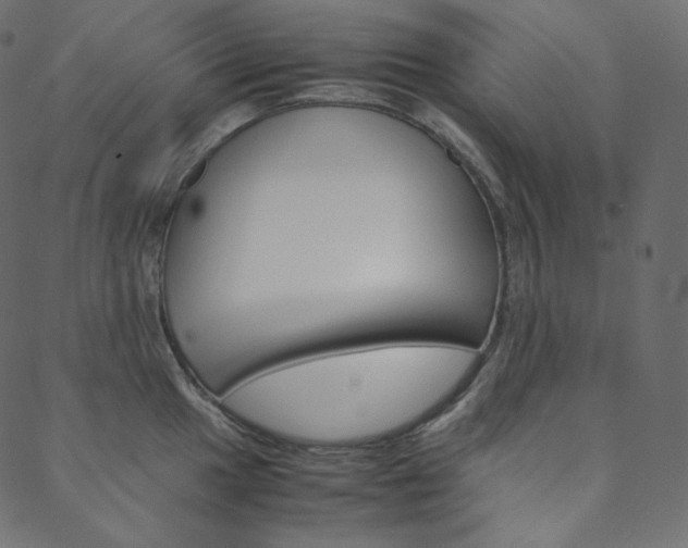X0000088741049200705311046