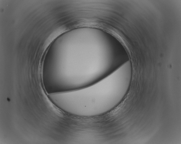 X0000088741050200705311046