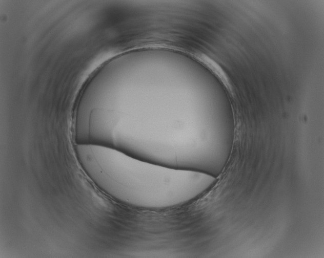 X0000088741051200705311046