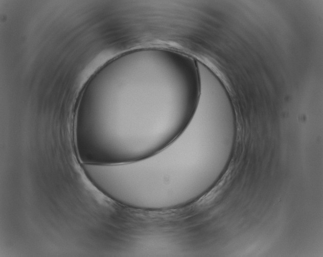 X0000088741054200705311047