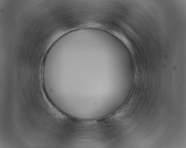 X0000088741055200705311047