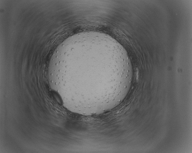 X0000088741059200705311046