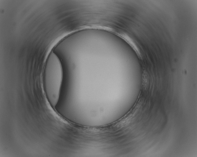 X0000088741100200705311045
