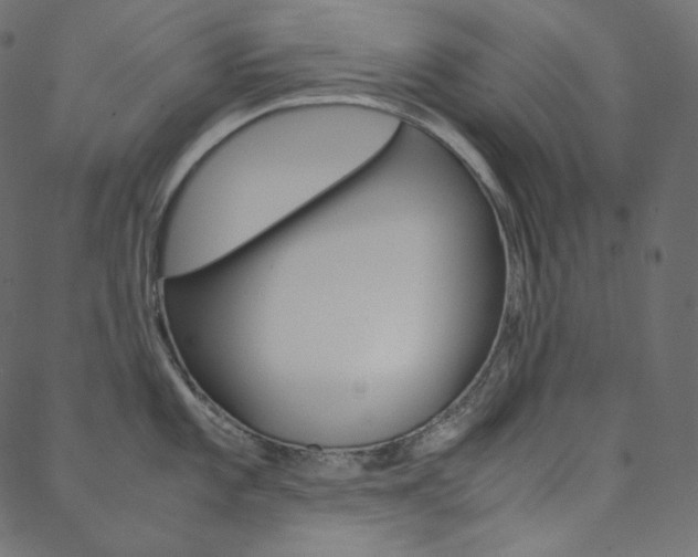 X0000088741101200705311045